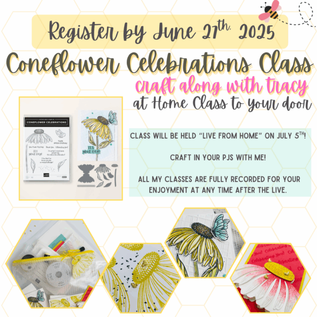 Coneflower Craft Along Class Graphic
