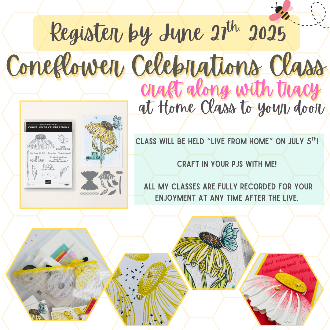 Coneflower Craft Along Class Graphic